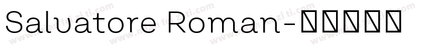 Salvatore Roman字体转换